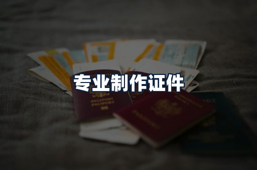 专业制作证件