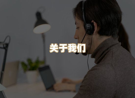 关于蓝帝图文网